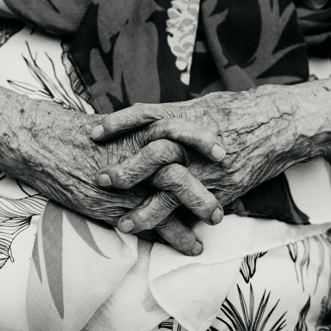 Close-up of elderly hands clasped together.